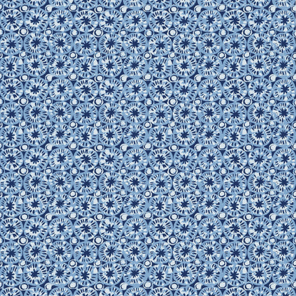 Sand Dollar Wallpaper