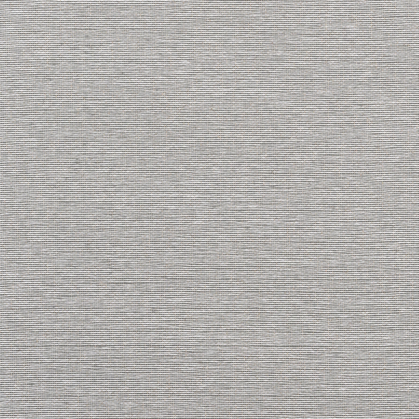 Edward's Paper Wallpaper