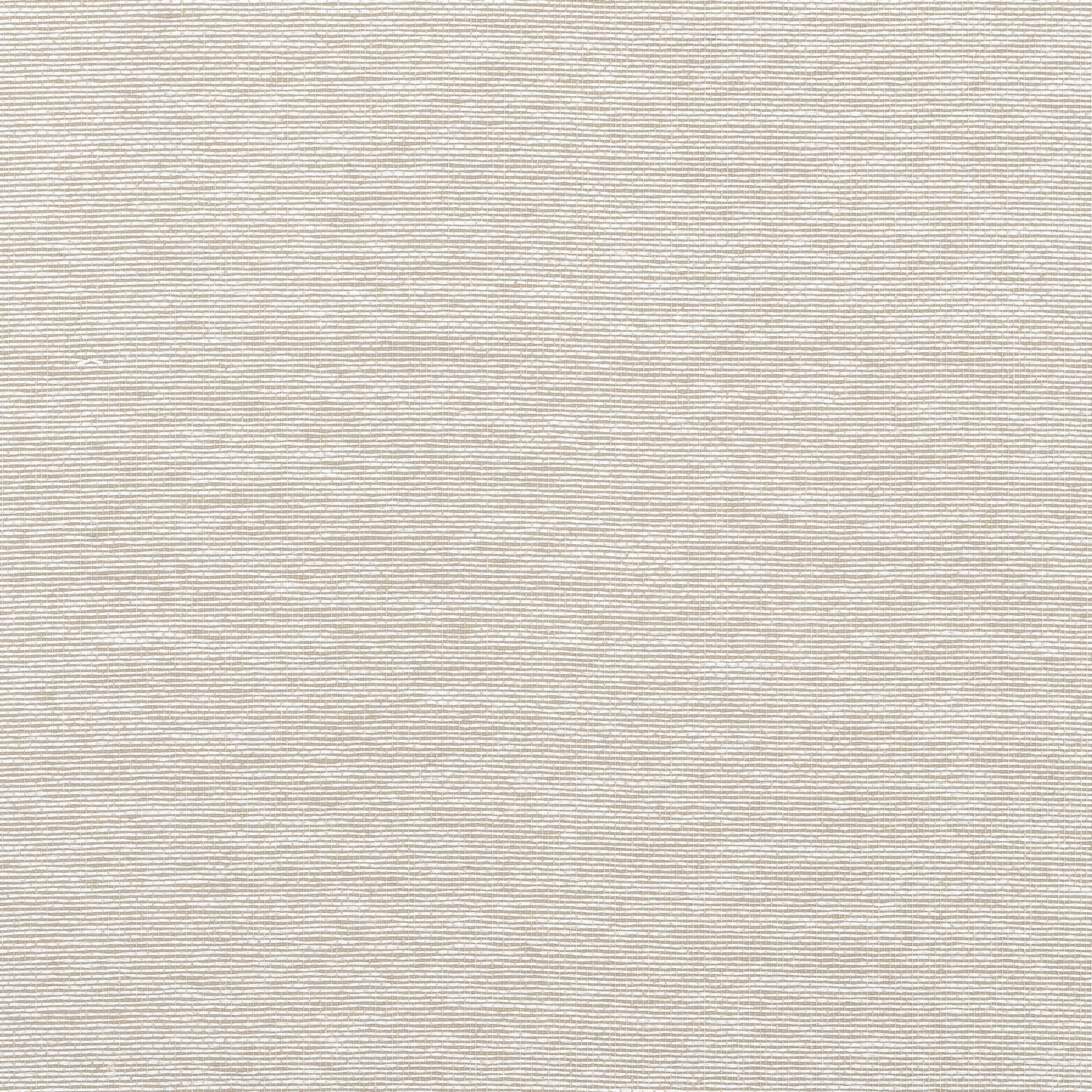 Edward's Paper Wallpaper