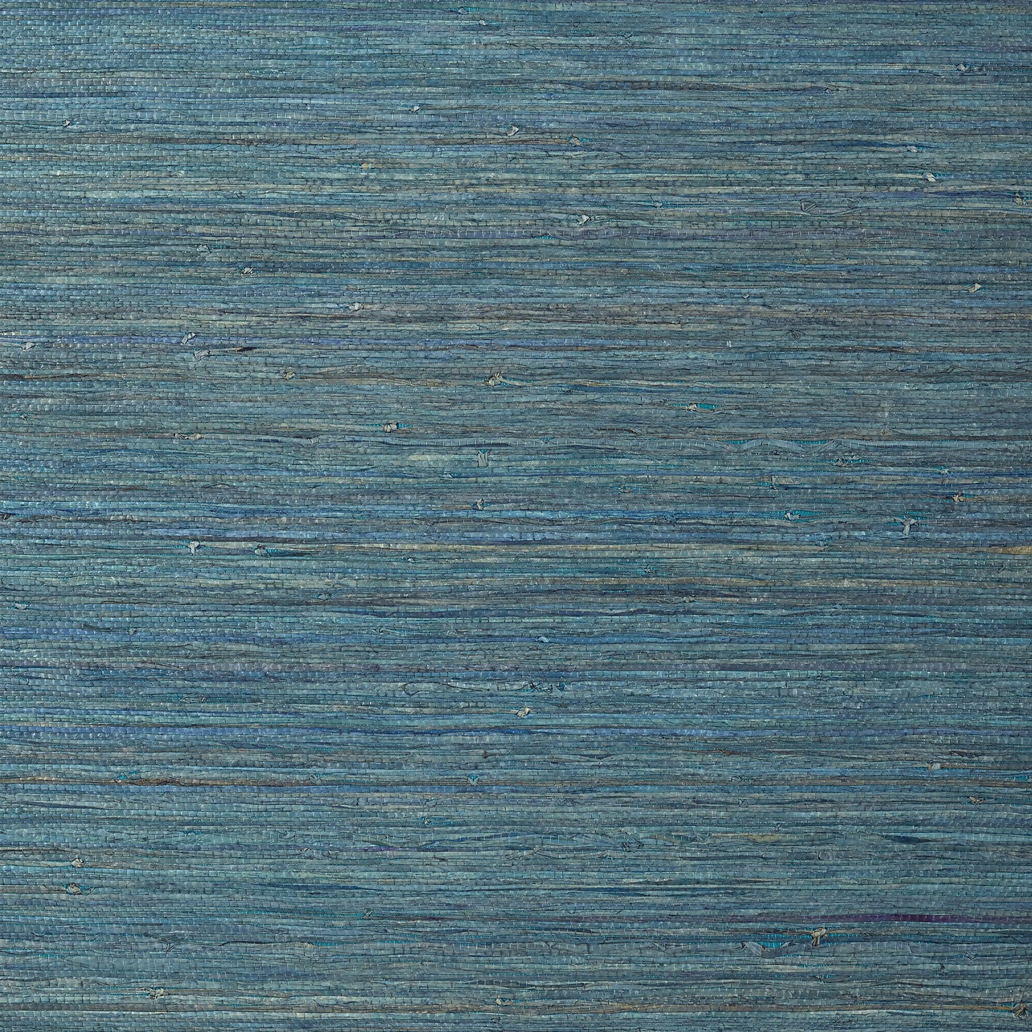 Raffia Palm Wallpaper