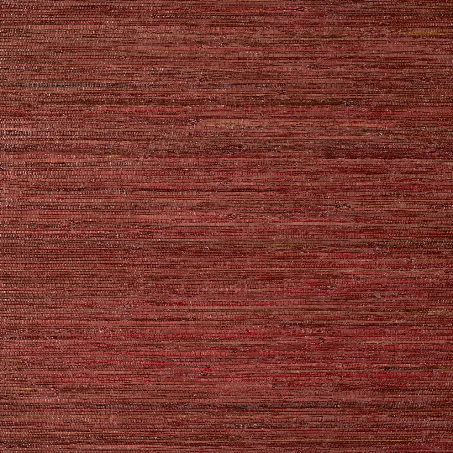 Raffia Palm Wallpaper