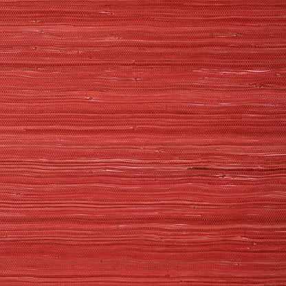 Raffia Palm Wallpaper