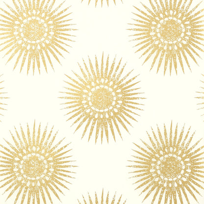 Bahia Wallpaper