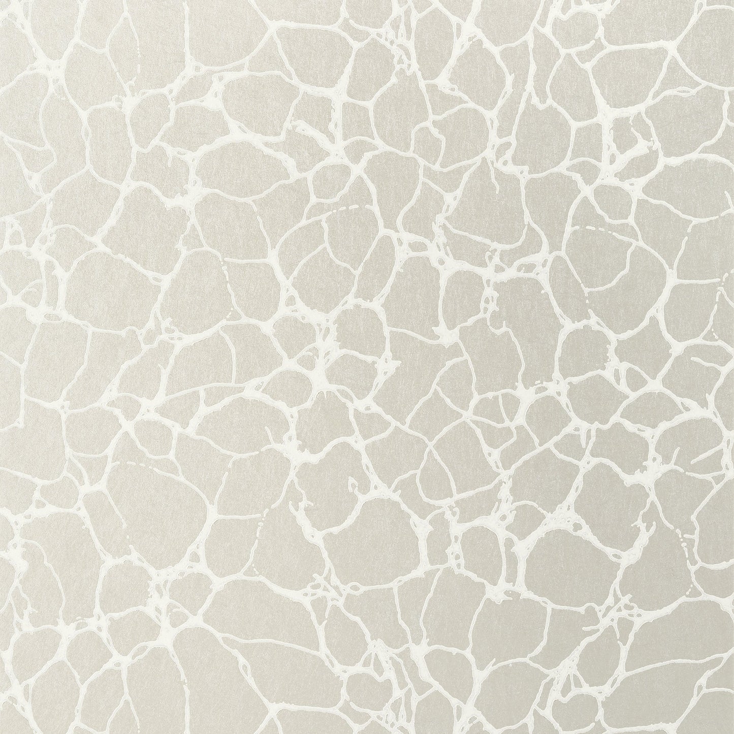 Amato Wallpaper