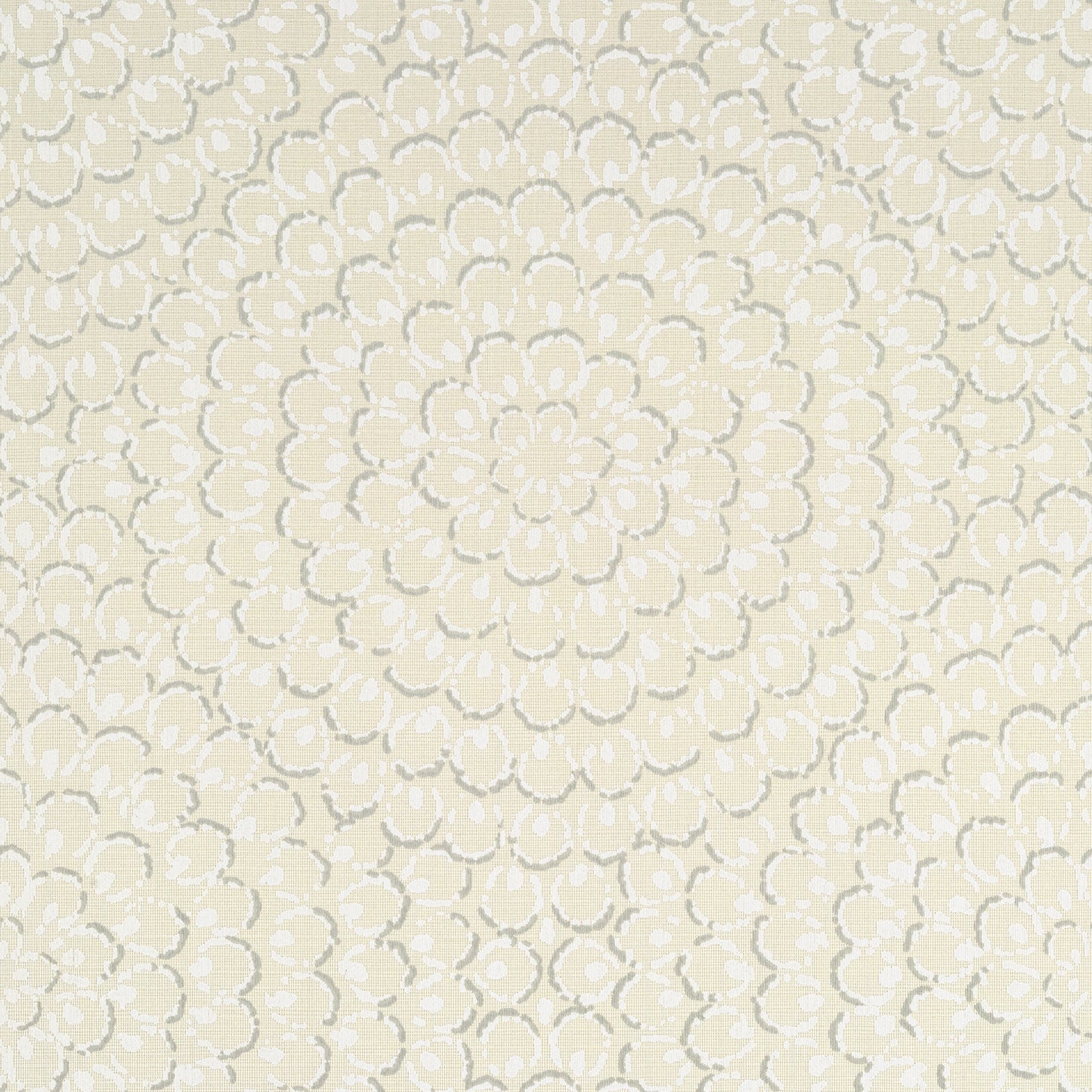 Aster Wallpaper