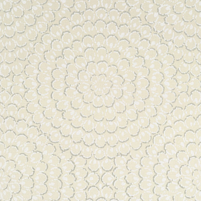 Aster Wallpaper