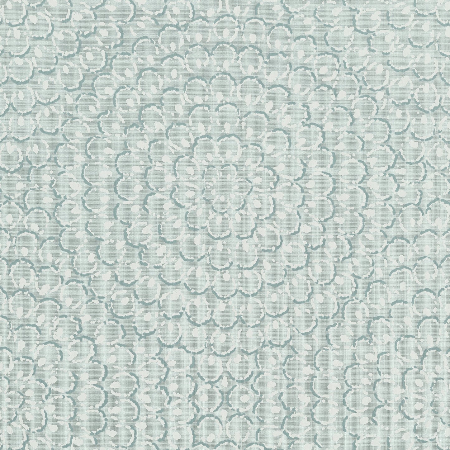 Aster Wallpaper