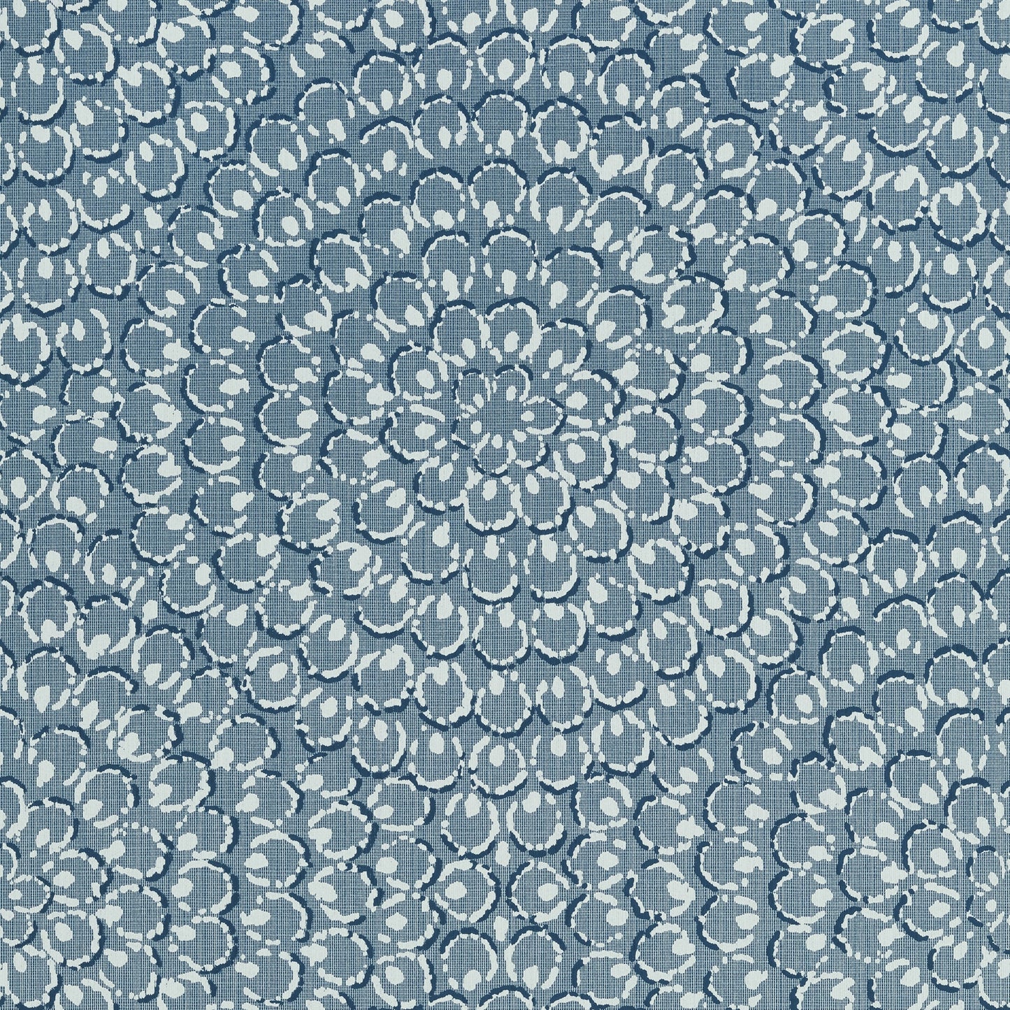 Aster Wallpaper