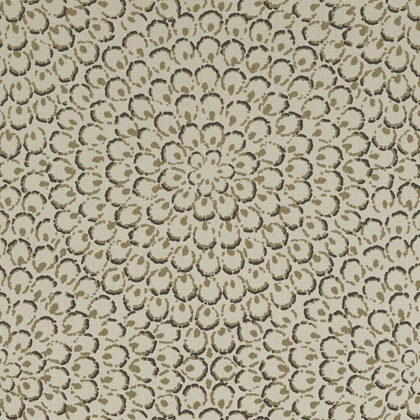 Aster Wallpaper
