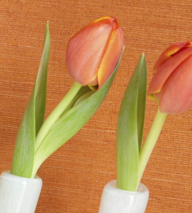 Shang Extra Fine Sisal Wallpaper