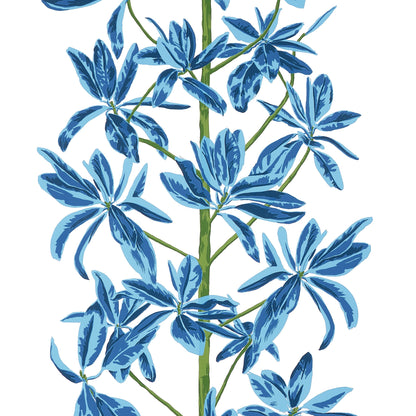 Mangrove Tree Wallpaper