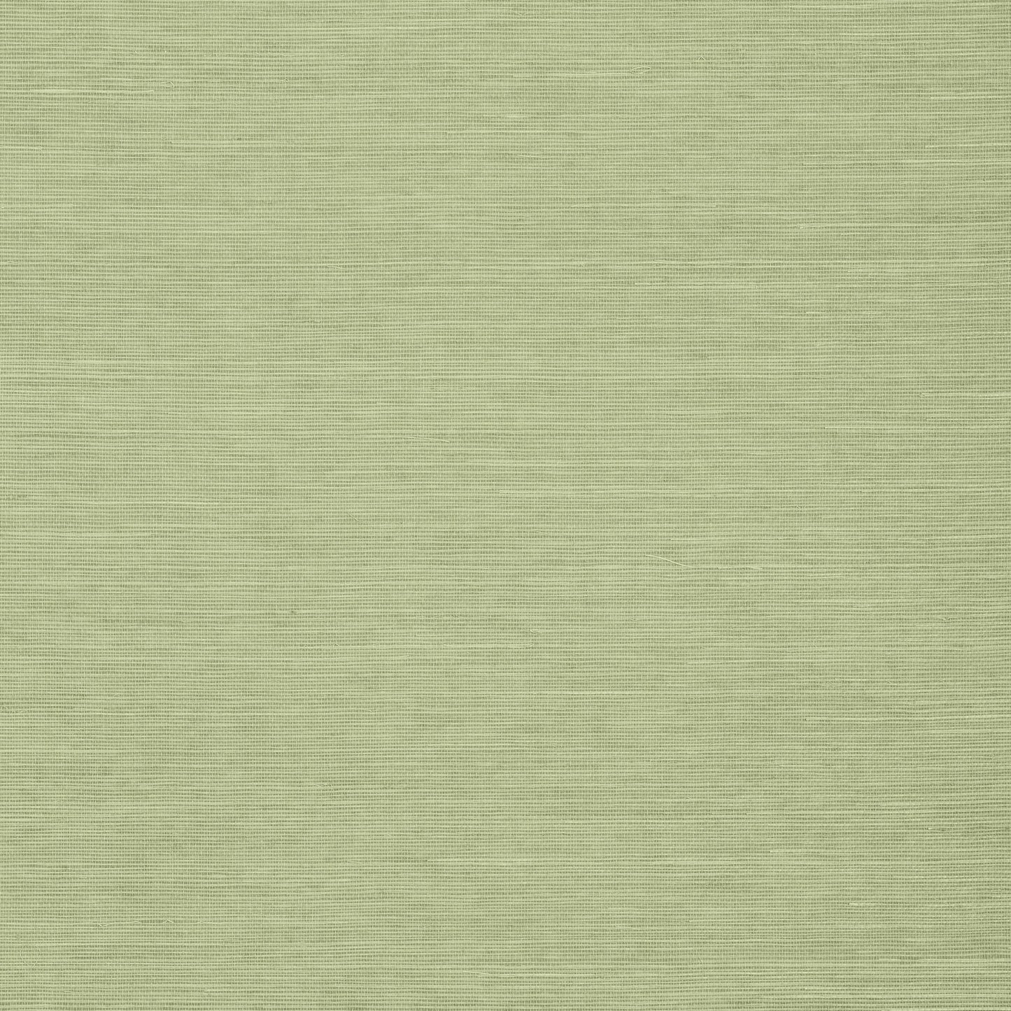 Shang Extra Fine Sisal Wallpaper