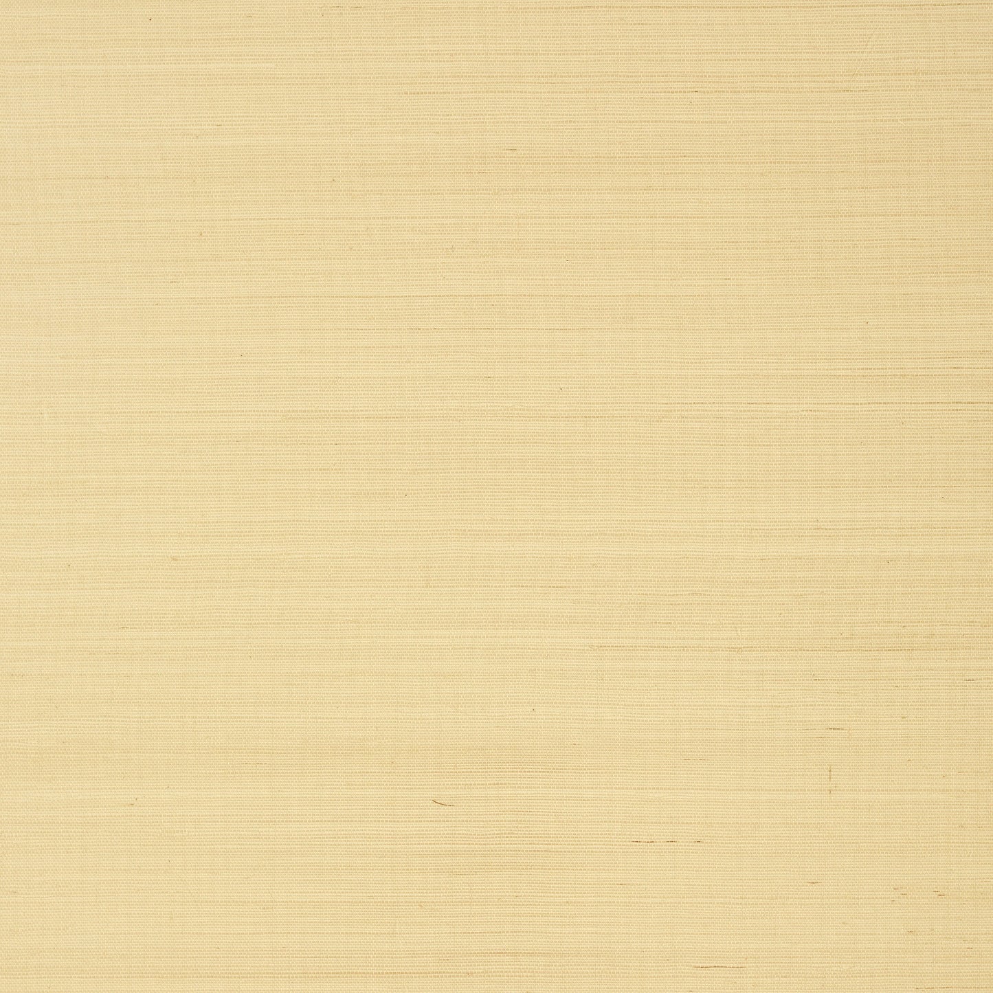 Shang Extra Fine Sisal Wallpaper