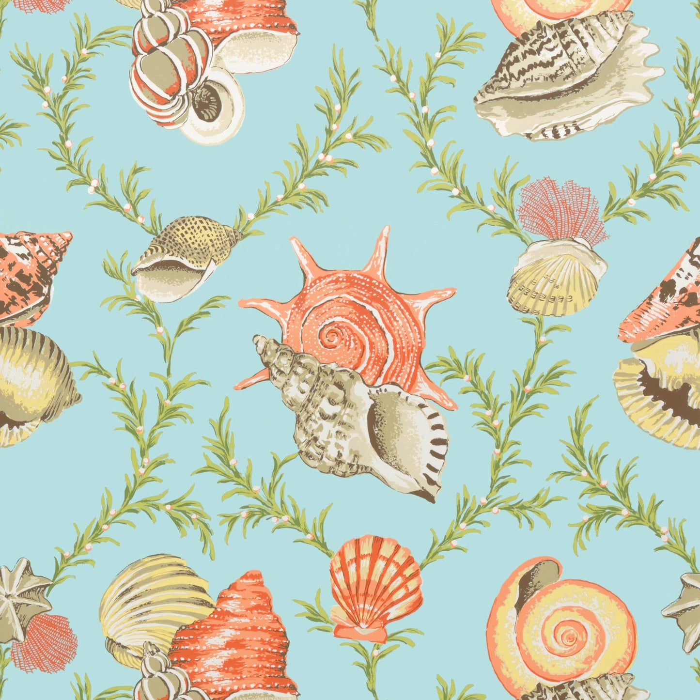 Sumba Shell Wallpaper
