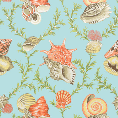 Sumba Shell Wallpaper