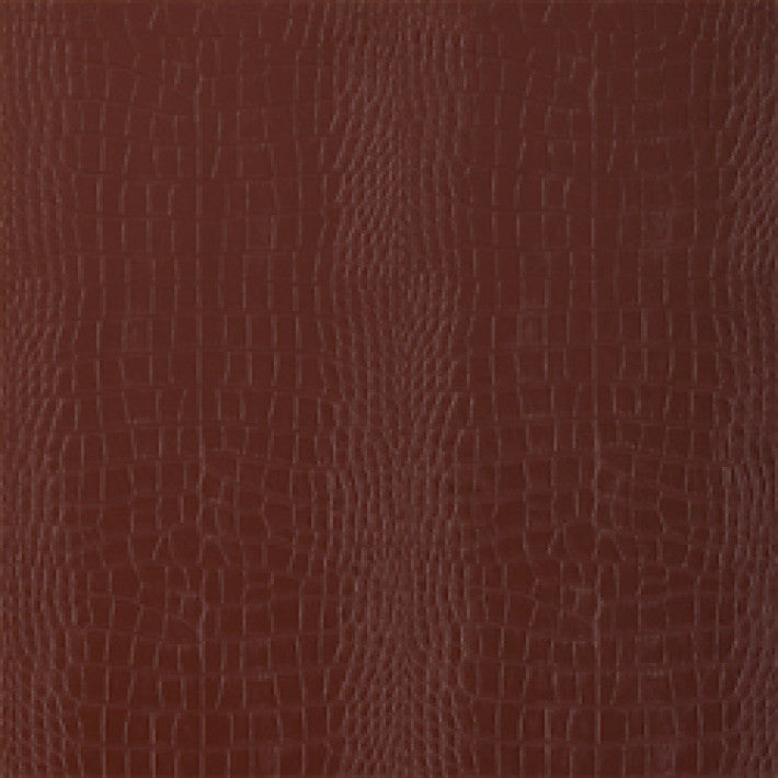 Greater Gator Wallpaper