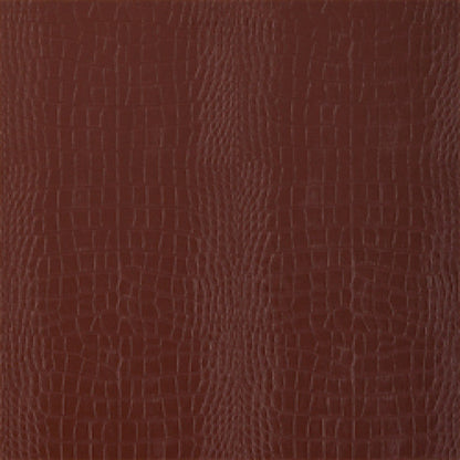 Greater Gator Wallpaper