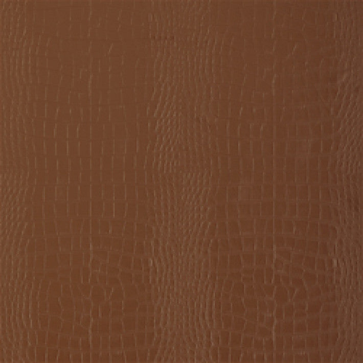 Greater Gator Wallpaper