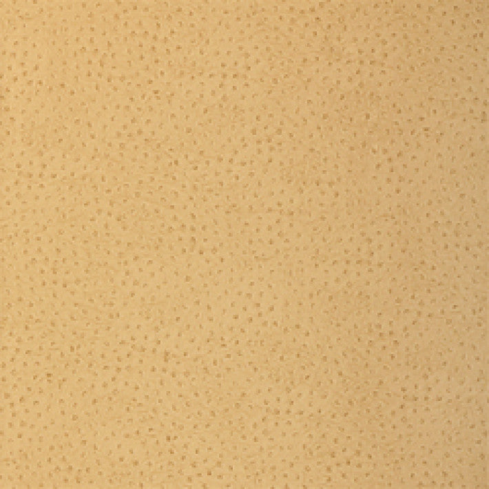 Natural Ostrich Wallpaper