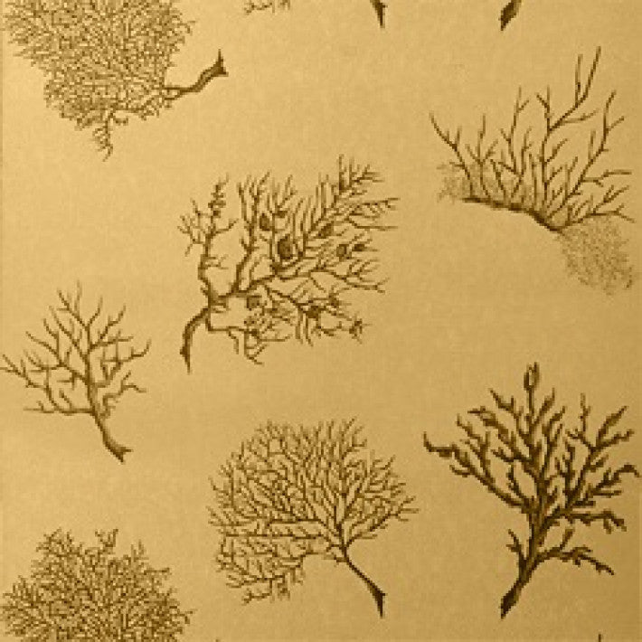 Coral Gables Wallpaper