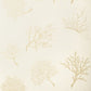 Coral Gables Wallpaper