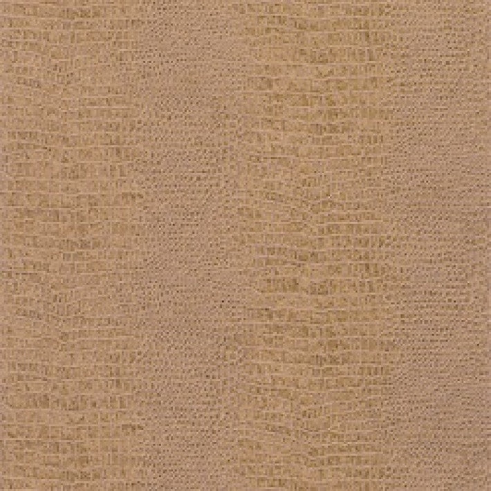 Everglades Wallpaper