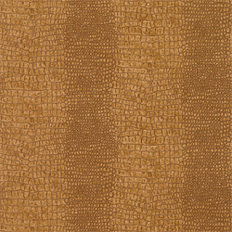 Everglades Wallpaper