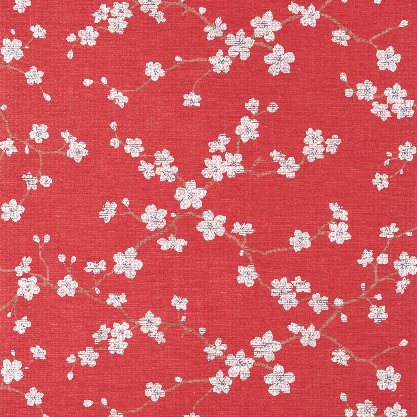 Sakura Wallpaper