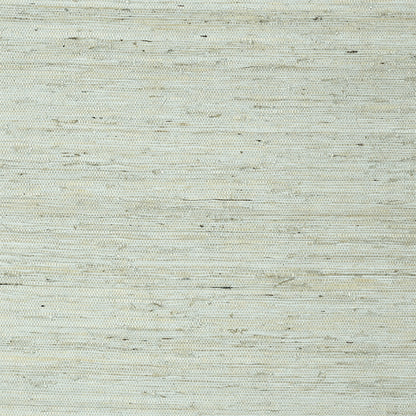 Maranta Arrowroot Wallpaper