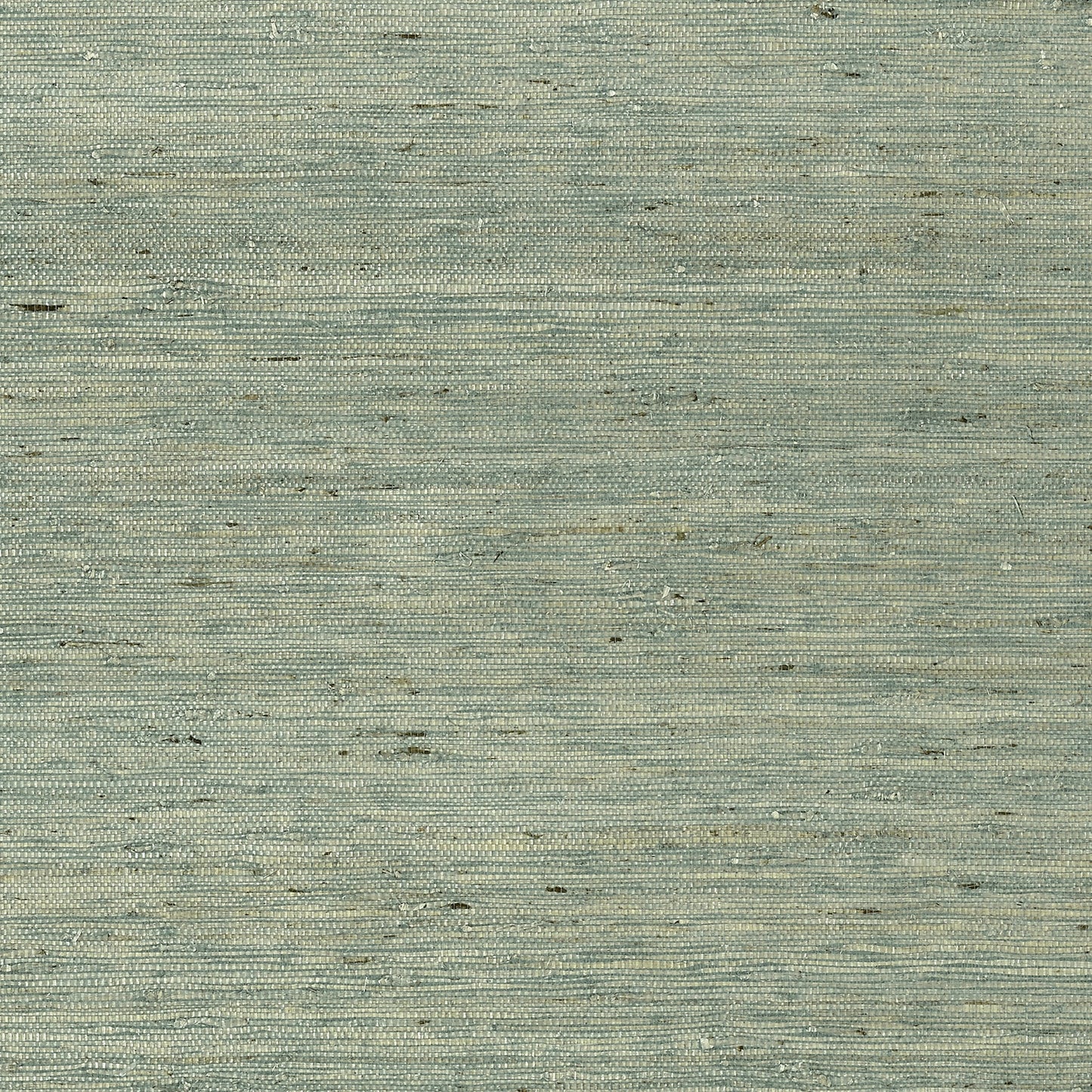 Maranta Arrowroot Wallpaper