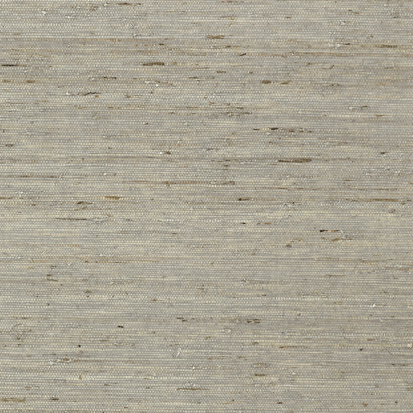 Maranta Arrowroot Wallpaper