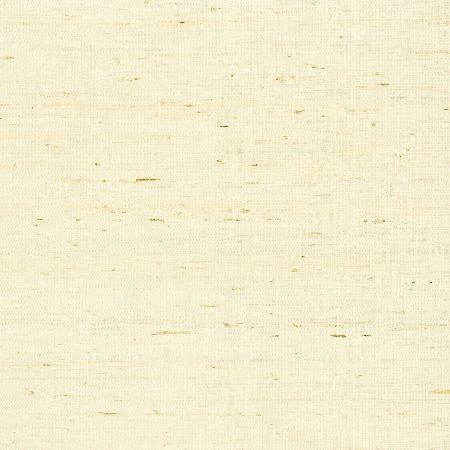 Maranta Arrowroot Wallpaper