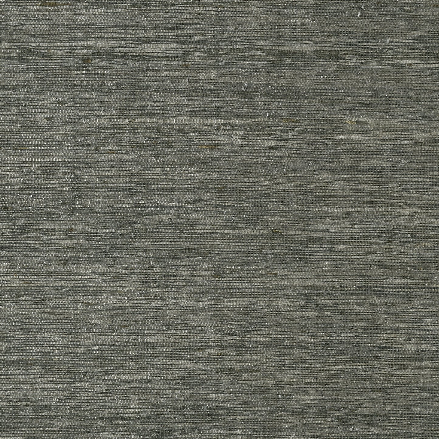 Maranta Arrowroot Wallpaper