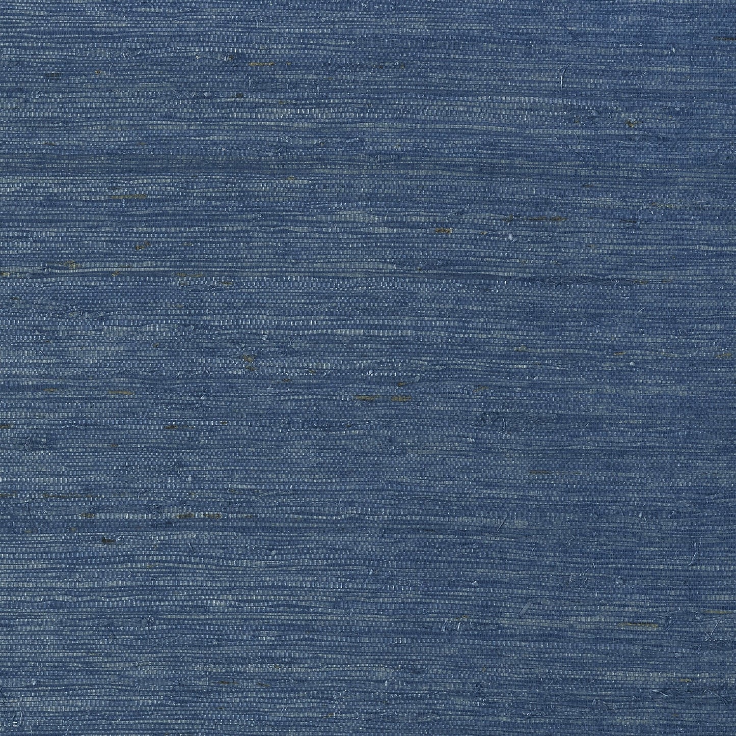 Maranta Arrowroot Wallpaper