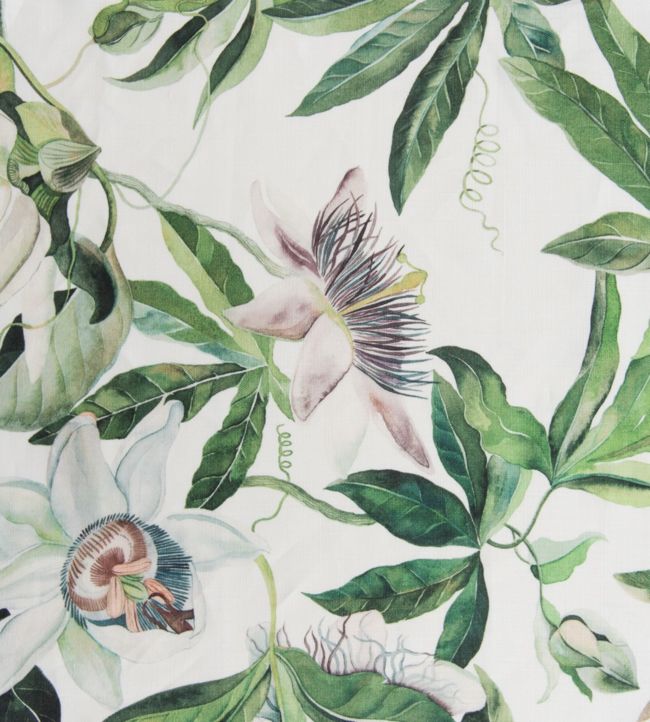 Passion Flower Fabric - Green