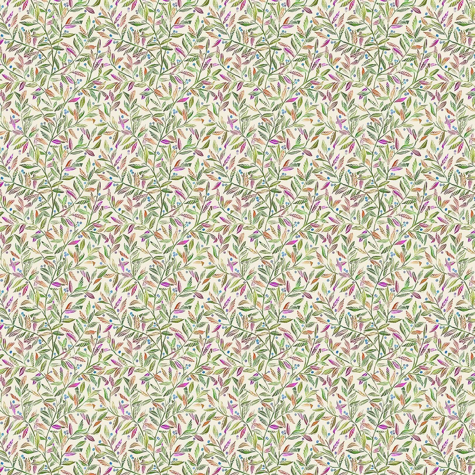 Torquay Grapefruit Ecru Lomond Pima Lawn Cotton - Dress Fabric