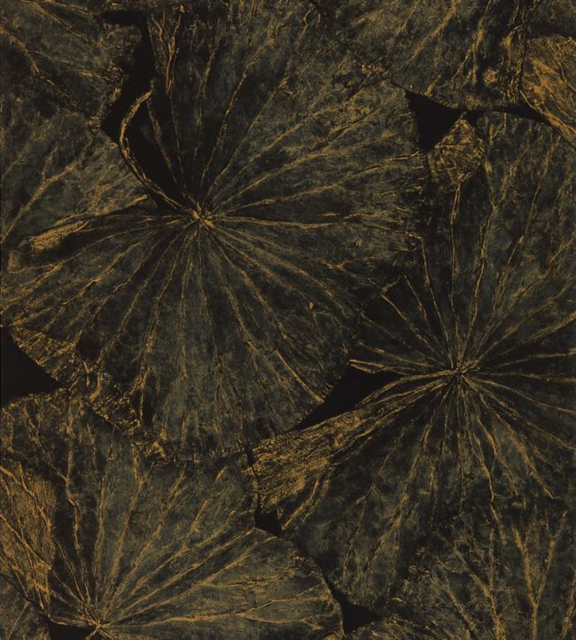 Taisho Deco Wallpaper - Vine Black - ZTOT312750 - Zoffany