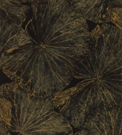 Taisho Deco Wallpaper - Vine Black - ZTOT312750 - Zoffany