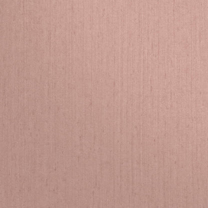 Tisbury Wallpaper - Shell - Clarissa Hulse