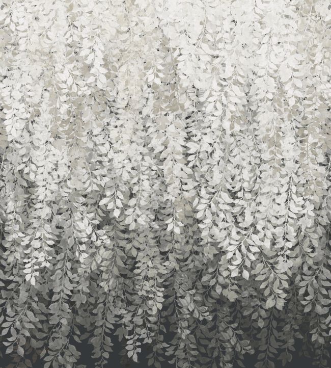 Tyndall Wallpaper - Vine Black - ZHIW313002 - Zoffany