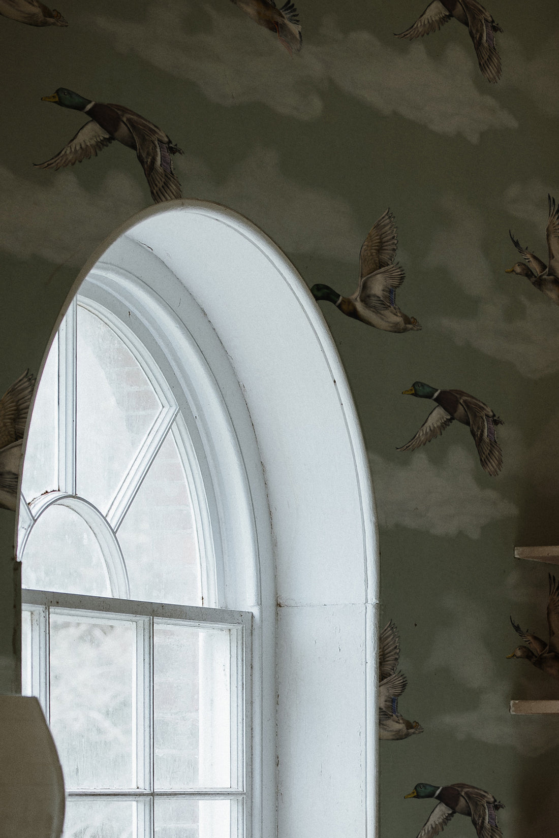 Voyage Wallpaper - Laurel Green - Summer Gray
