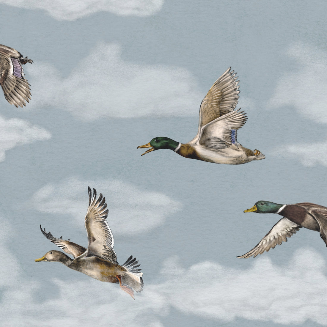 Voyage Wallpaper - Winter Blue - Summer Gray
