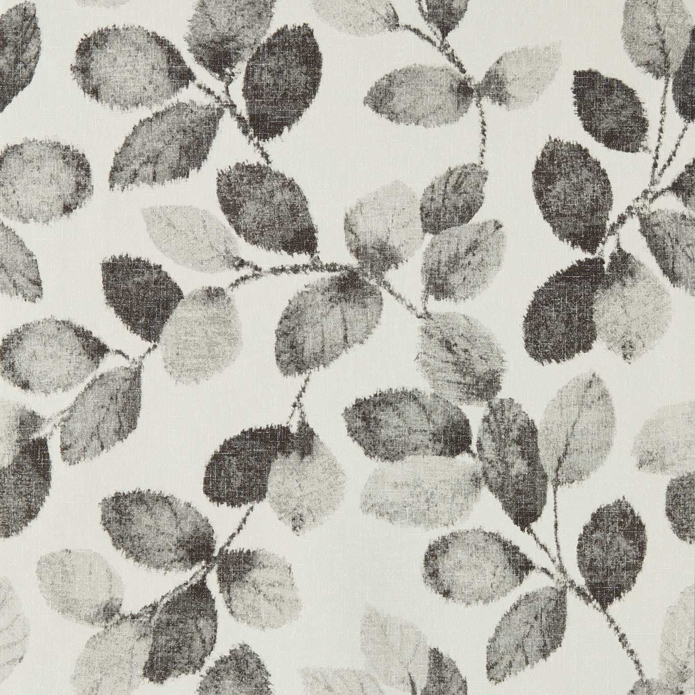 Northia Wallpaper - Charcoal - W0159/01