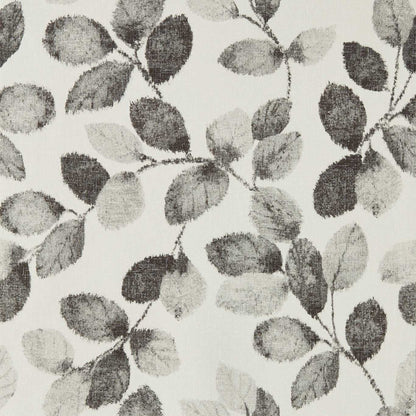 Northia Wallpaper - Charcoal - W0159/01