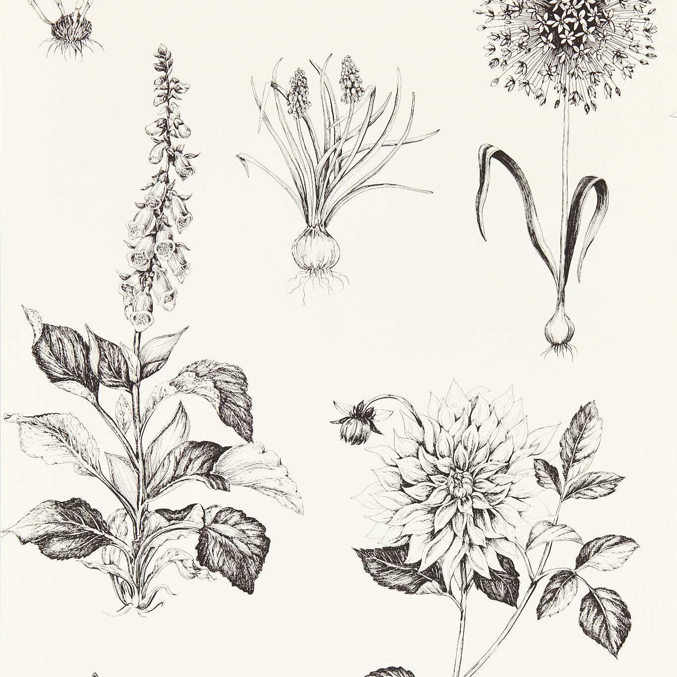 Roseraie Wallpaper - Charcoal - W0197/02