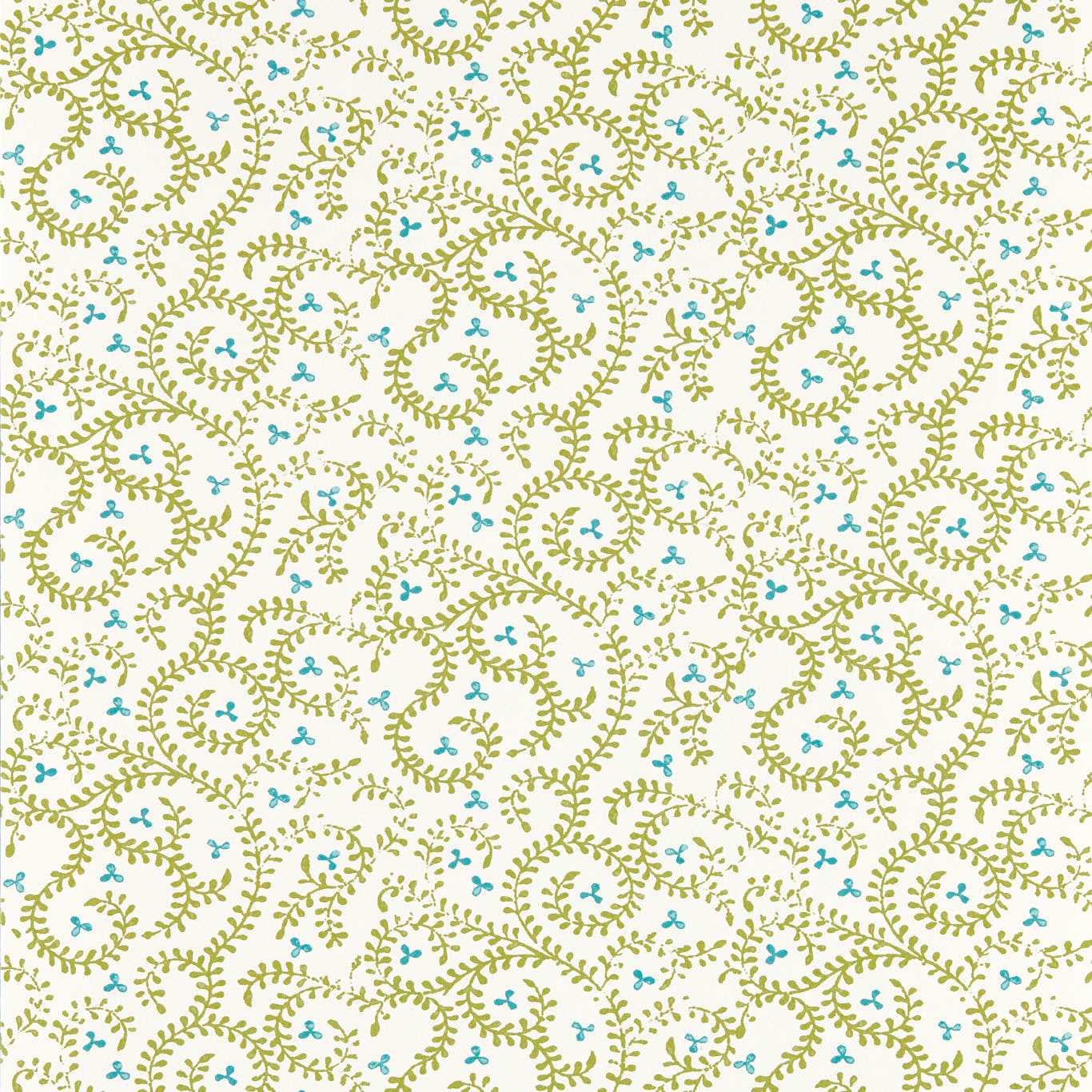 Buta Wallpaper - Apple - W0233/01