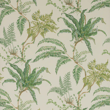 Woodfern Wallpaper - Green - W7015-01