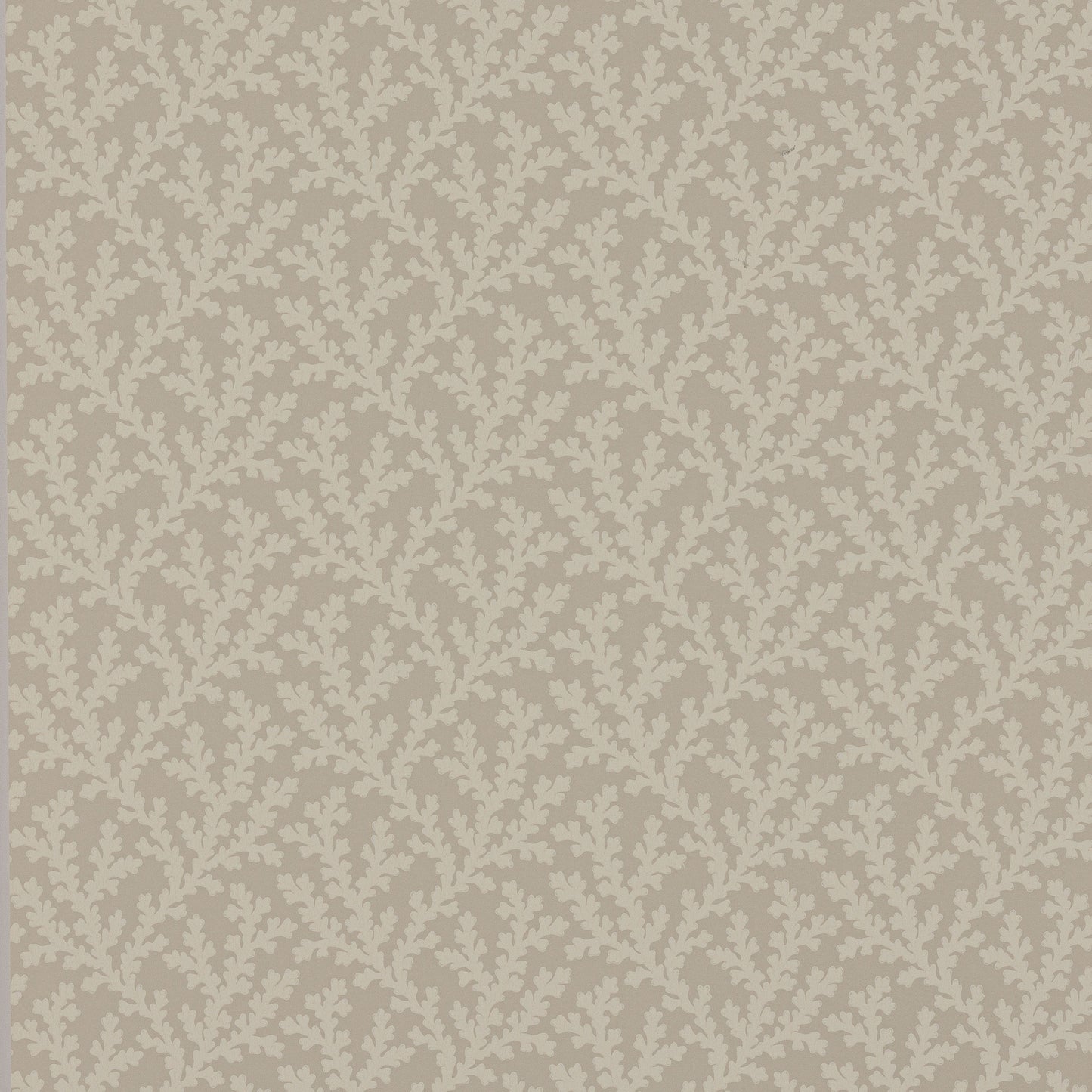 Sea Coral Wallpaper - Beige - W7020-03