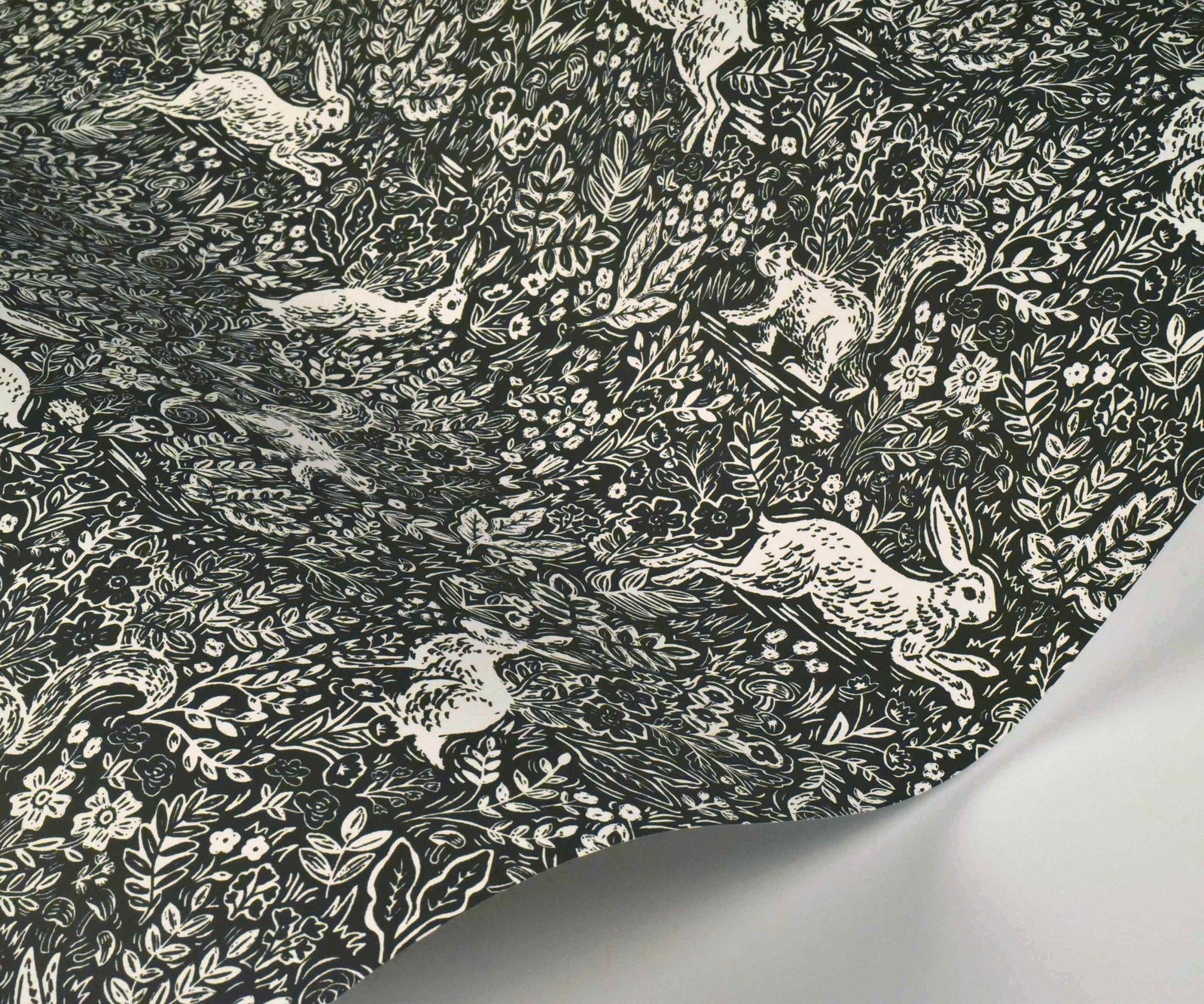 Fable Wallpaper - Black - Rifle