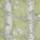 Windermere Coriander Fabric